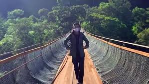 Wisata Viral 2025